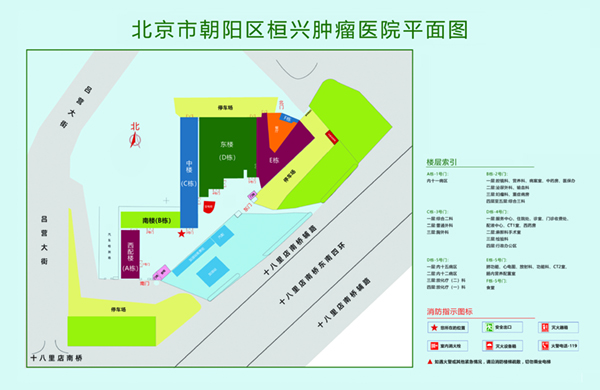 愛插騷逼視頻北京市朝阳区桓兴肿瘤医院平面图